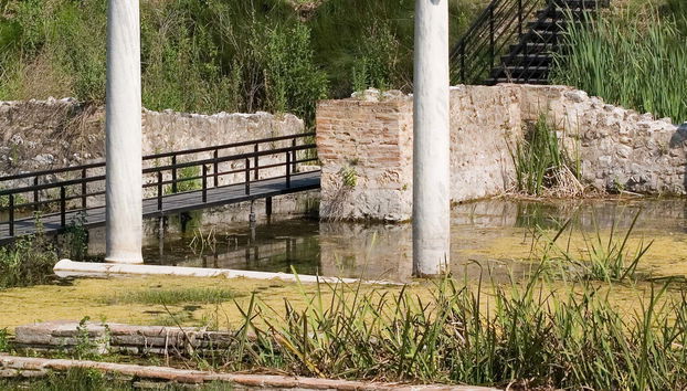Excursion au mont olympe et à Dion