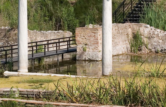 Excursion au mont olympe et à Dion - Photo 5