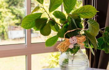 Casa Grande de Cornide Santiago de Compostela - Foto 32