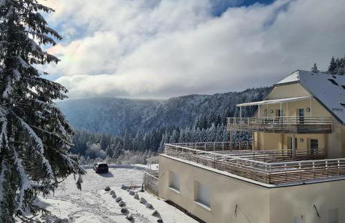 bel appartement 3 pièces dans la Résidence Vosges-Alsace Orbey - Foto 9