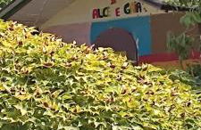 Villa Vecchio - Foto 21