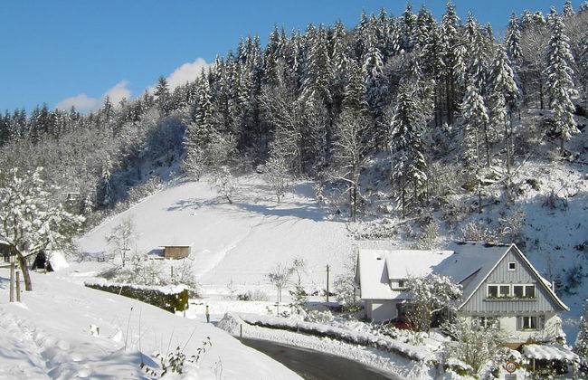 Pretty Apartment in Oppenau near Black Forest National Park - Foto 19