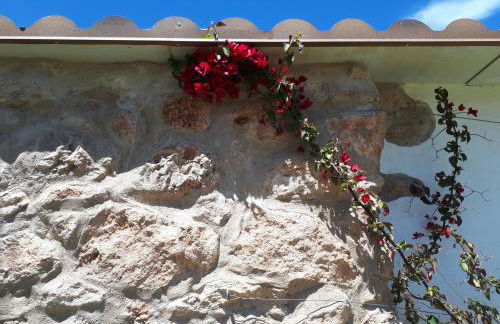 El Establo - Foto 11