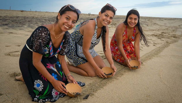 Turtle Release Experience - Foto 4