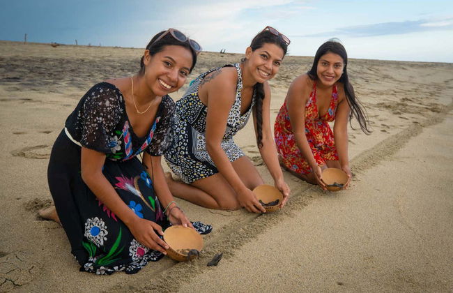 Liberazione di tartarughe nella spiaggia di Colotepec - Foto 3
