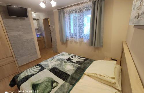 "MAGNOLIA" - Noclegi Pod Górą Żar - Foto 1