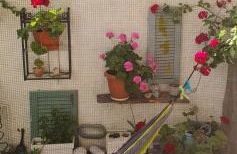 Peace&love-sea studio - Photo 11