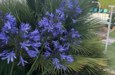 Villa Amare Granville - Foto 50