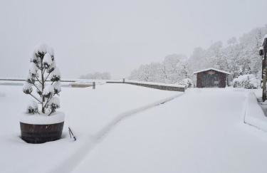 Pallas Casa - Photo 55