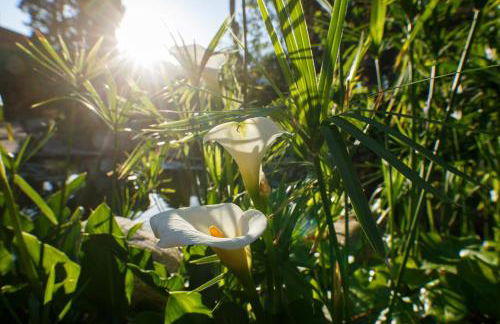 Casa Montserrat Ruralvilla - Foto 8