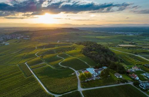 Holiday Apartment Monet in Oberrotweil - Foto 52
