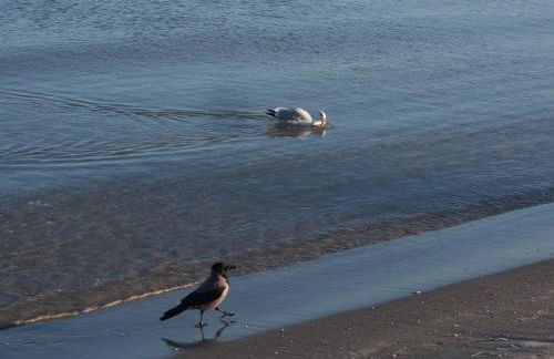 Villa Sirene Whg 12 Meerblick - 5 Sterne - Foto 28