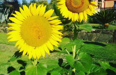 Agriturismo solare - Foto 25