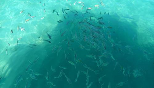 CASA MARAVILHOSA à BEIRA MAR EM ANGRA DOS REIS - Foto 2