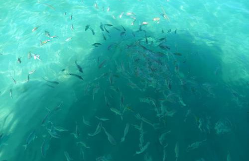 CASA MARAVILHOSA à BEIRA MAR EM ANGRA DOS REIS - Foto 2