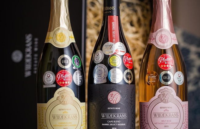 Endless Vineyards at Wildekrans Wine Estate - Photo 28