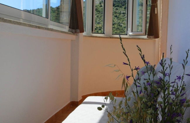 Apartments Juras - Foto 44