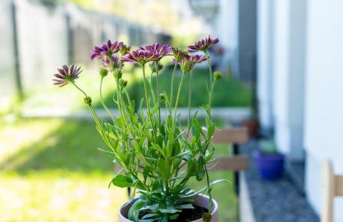 Komfortowy Apartament z ogródkiem - Foto 3