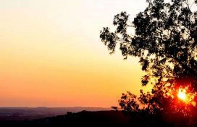 Shepinetree - Pinheira House - Foto 56