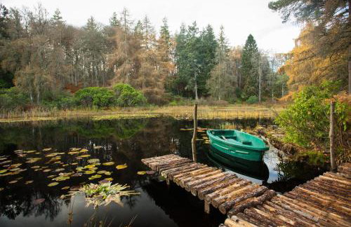 The Bungalow - Photo 20