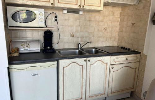 Studio Cabine Climatisé, Plage et Piscine, 4 Couchages - Port Camargue - FR-1-250-151 - Photo 8