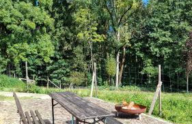 Ferienhaus Gut Haselbach im Erzgebirge - Foto 47