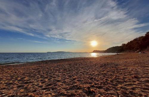 Superbe Rez-de-Villa 6p calme & plage à pied - Foto 29