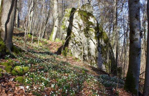 in Haus Kallenberg - Foto 37