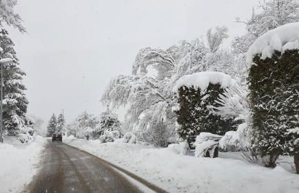 Gemütliche Ferienwohnung mit Terrasse, im Schwarzwald - Foto 42