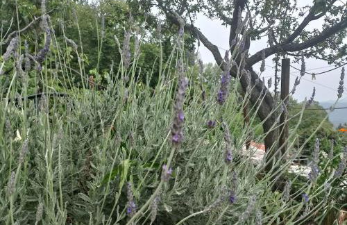 Stonehouse - The Secret Place - Foto 38