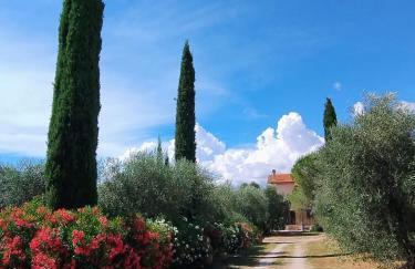 Agriturismo Il Riccio - Foto 8