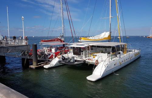 Salamandre et Hippocampe - Foto 44