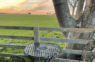The Old Telephone Exchange - surrounded by fields! - Photo 11