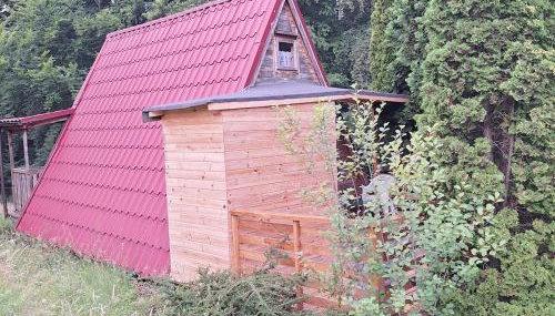 Przytulny domek na skraju lasu - Foto 5, Garden