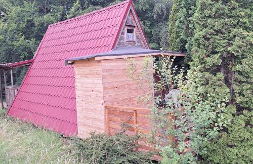 Przytulny domek na skraju lasu - Foto 5