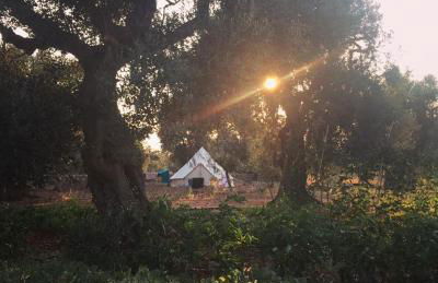 Agriturismo Vòioro - Foto 40