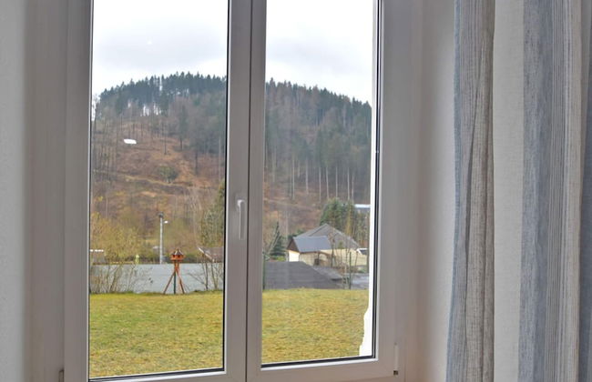 Apartment in Ore Mountains Near Hiking Trails - Foto 38