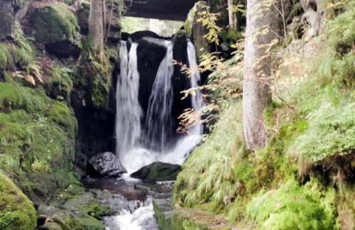 Apartment Schwinbachblick mit 2 Balkonen - Foto 16