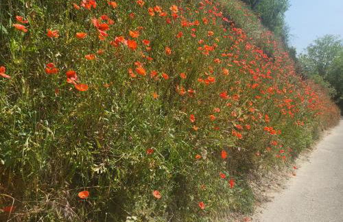 Rebstock Wellness - Foto 30