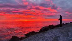 La Conchiglia sul Mare - Foto 3