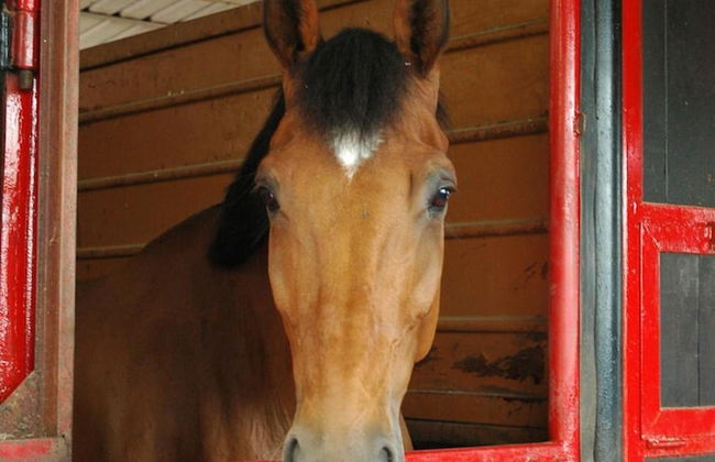 Assia Spa - Photo 64