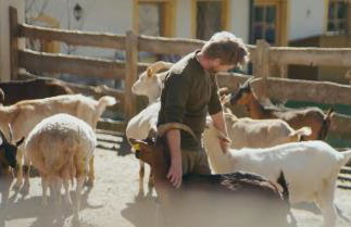 B&B Agriturismo Soreie - Farmstay - Photo 11