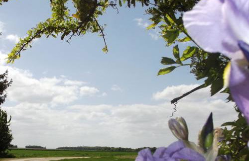 Charmante maison de campagne avec jardin privé, près de Paris et Orléans, idéale pour familles - FR-1-590-136 - Foto 20