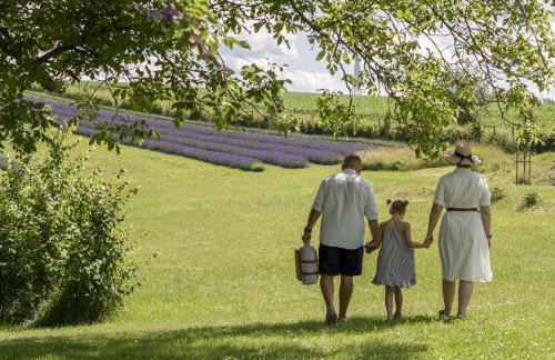 Lawendowa farma Home&Spa - Foto 15