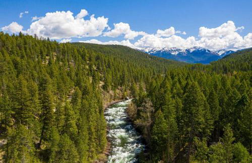 Paddle & Pine - Lake Views & Private Dock Access - Photo 45