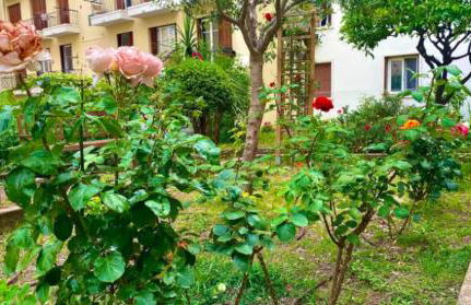 L'Avenir du Ray - Photo 21