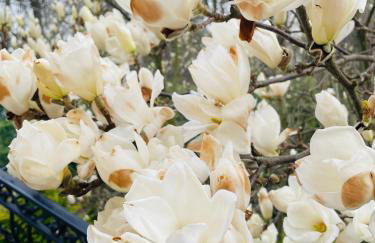 Willa z sauną Nad Jeziorem 61 - Foto 21