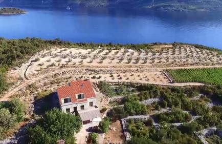 Apartman Kneže - Foto 13