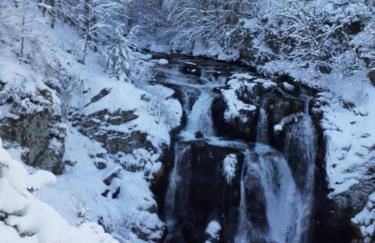 LA CASETTA DELLA NONNA - Photo 53