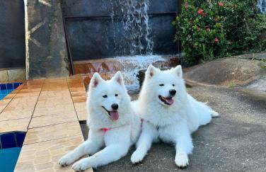 Flats Pedra do Rodeadouro Hotel Fazenda - Foto 29